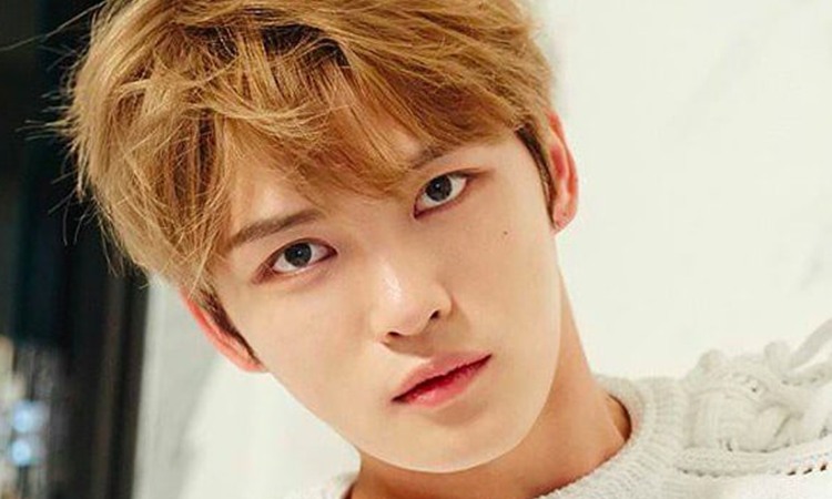 ¿Sabías que estos idols de Kpop en realidad son adoptados?