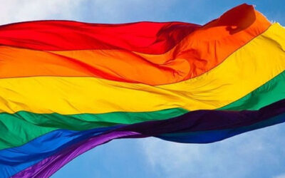 Conoce a los IDOLS que apoyan a la comunidad LGBT