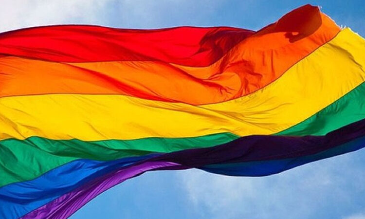 Conoce a los IDOLS que apoyan a la comunidad LGBT