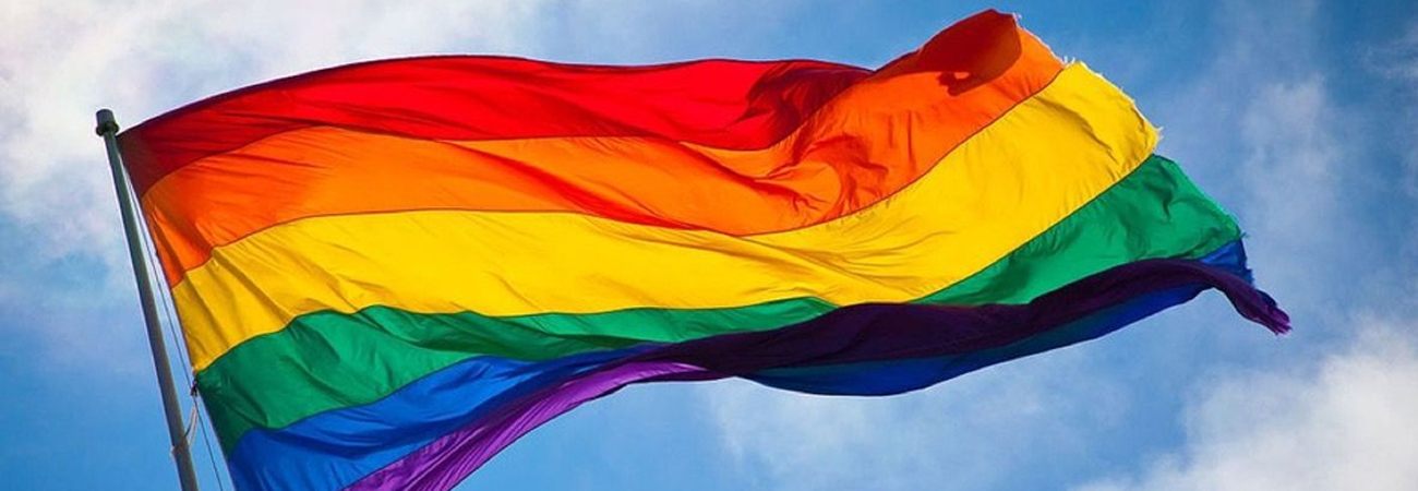 Conoce a los IDOLS que apoyan a la comunidad LGBT