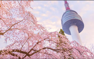 ¡La torre más famosa de Seul!