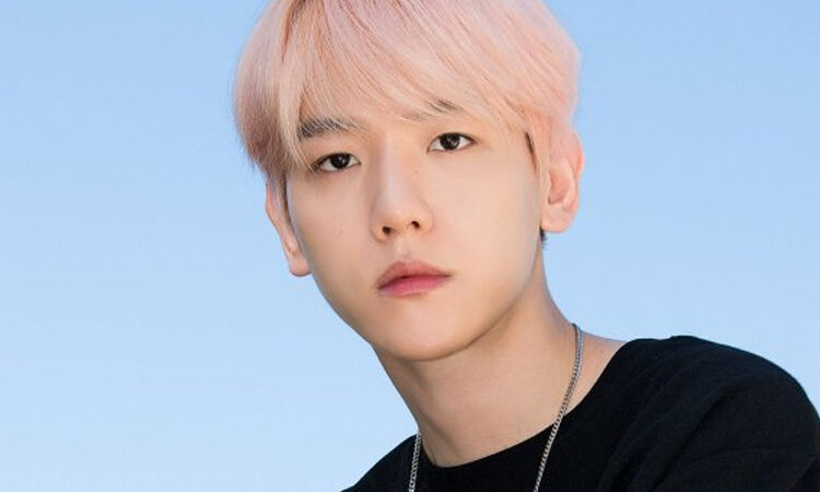 KPOP: Baekhyun de EXO derrite con su hermosa interpretación de Garden In The Aird de BoA