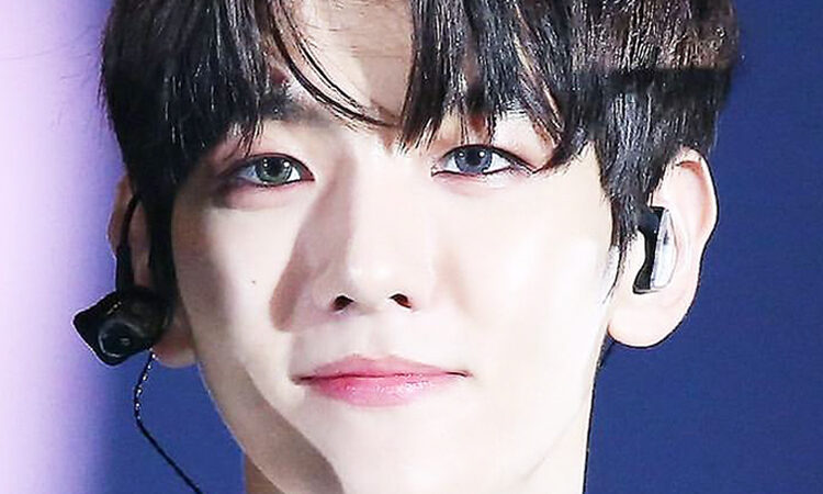 Baekhyun de EXO habla sobre la diferencia de los fans internacionales y coreanos
