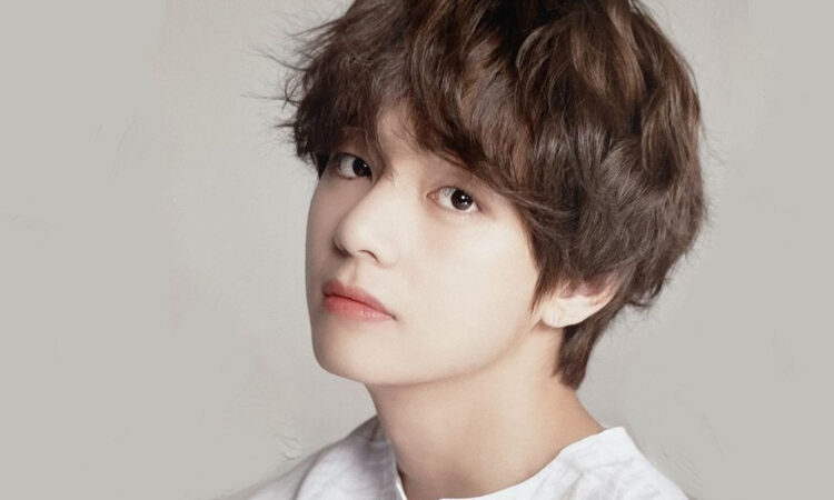 Taehyung y Park Seo Joon muestran su hermosa amistad en 'Summer Vacation' de tvN