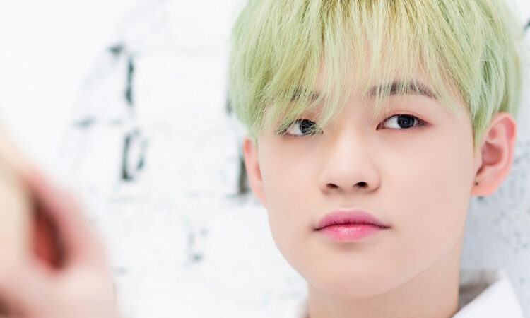 Chenle de NCT recibe una invitación de su idolo Stephen Curry, jugador de la NBA