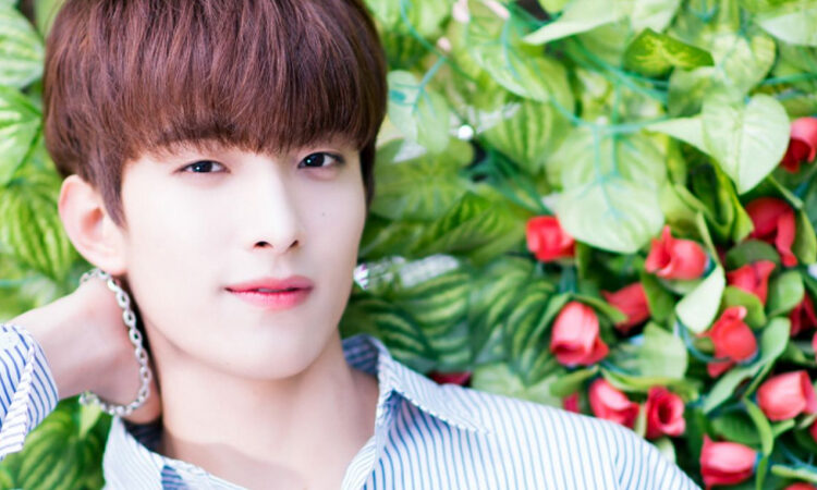 La noble reacción de DK de SEVENTEEN al golpear a un fan con una botella de agua te enamorara