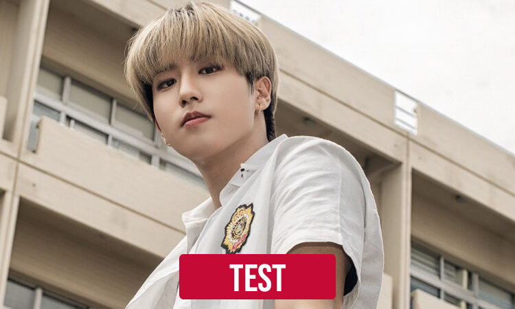 TEST: Qué tanto sabes de Han de Stray Kids