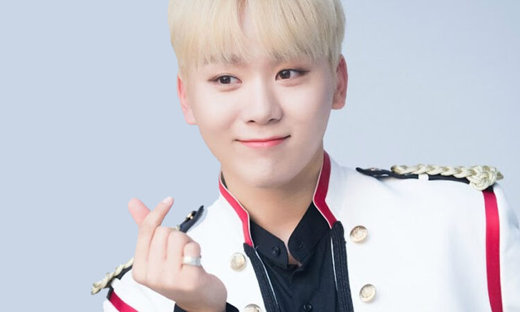 Pledis Entertainment habla sobre la participación de Seungkwan de SEVENTEEN durante SEVENTEEN in CARAT LAND