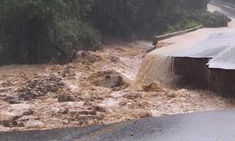 Cinco muertos y cinco más desaparecidos en Corea del Sur por fuertes lluvias