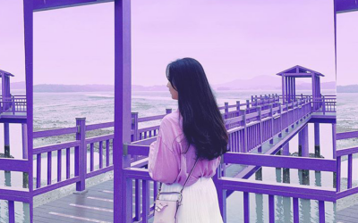 Conoce la maravillosa 'isla púrpura' en Corea del Sur