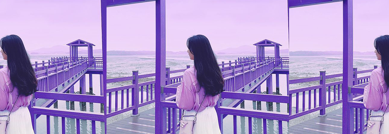 Conoce la maravillosa 'isla púrpura' en Corea del Sur