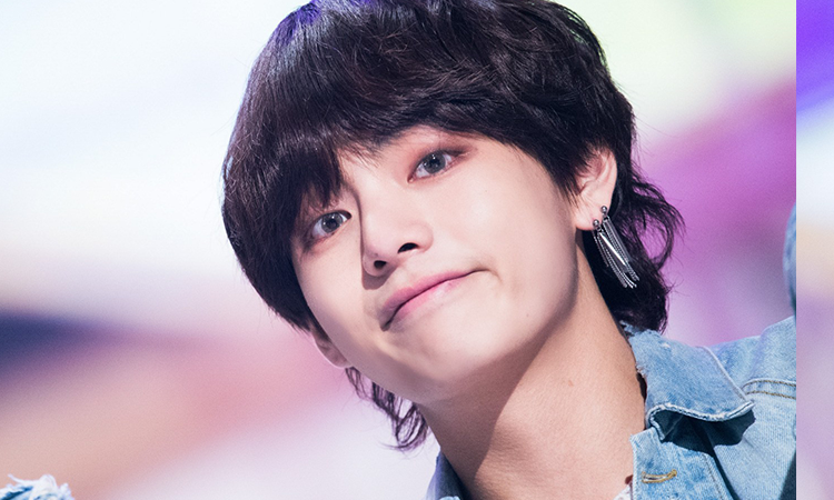 Fans de BTS se quejan de cómo fue retratado V para 'In the SOOP'