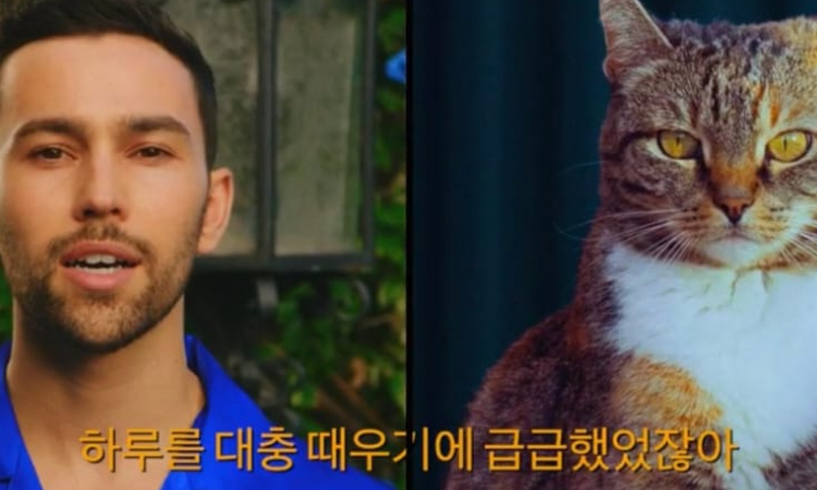 Suga es interpretado por un gatito y más sobre el nuevo vídeo de MAX 'BlueBerry Eyes'
