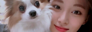 Lamentablemente Gucci, el perro de Tzuyu de TWICE ha fallecido