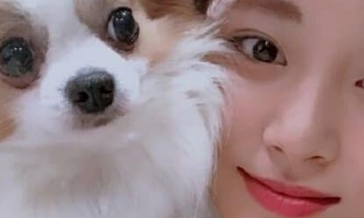 Lamentablemente Gucci, el perro de Tzuyu de TWICE ha fallecido