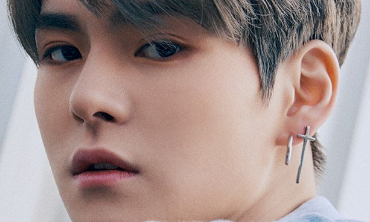 Yoshi de Treasure recibe un terreno en Escocia como regalo