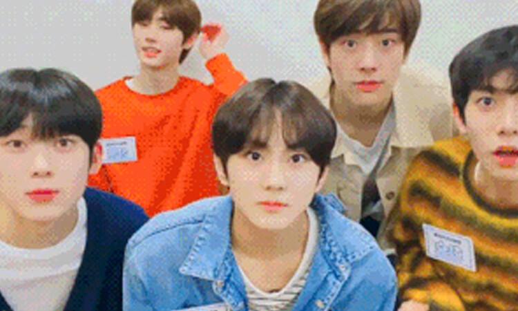 El terrible accidente de ENHYPEN hizo que Sunghoon se desmayara