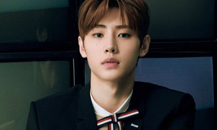 Novo grupo de ENHYPEN BigHit revela as imagens de seus 7 membros