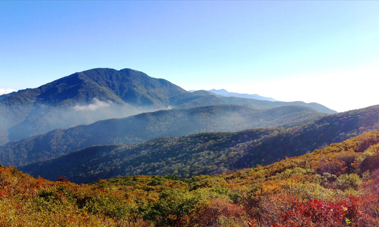 Las grabaciones del kdrama JiriSan estaran apoyadas por el Parque Nacional de Corea