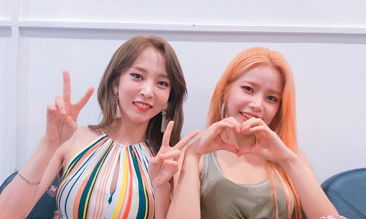 Solar y Moonbyul de MAMAMOO se sinceran sobre si renovarán o no su contrato el próximo año