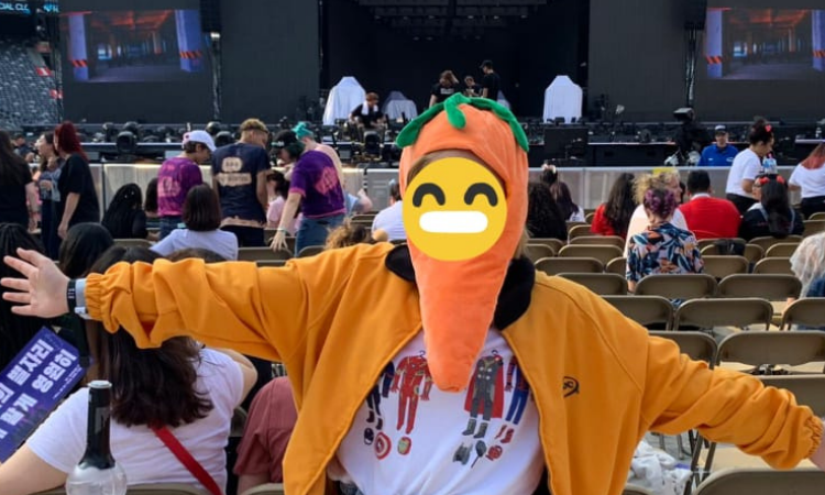 ARMY Zanahoria atrae la atención de los miembros de BTS