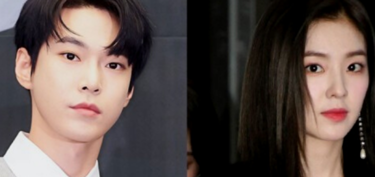 Internautas revivem declaração do Doyoung da NCT afirmando que Irene do Red Velvet é 'aterrorizante'