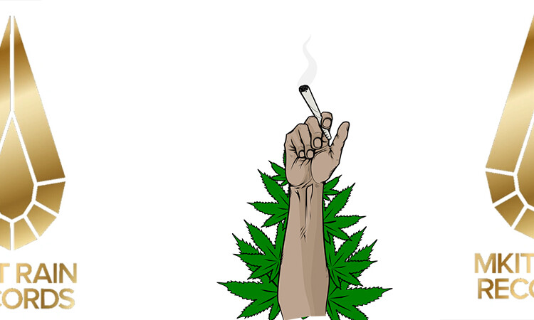 Estos idols admiten el uso de marihuana y MKIT Rain Records realiza declaraciones