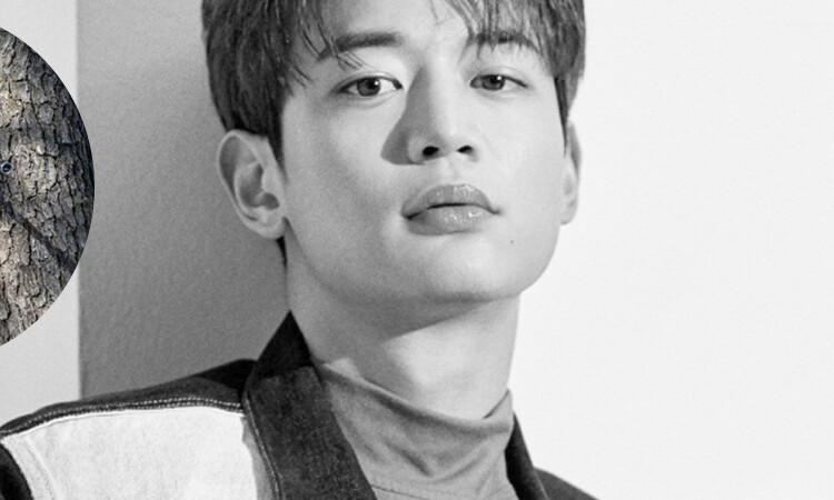 Minho de SHINee es elogiado por el cuerpo de Marines durante su servicio militar