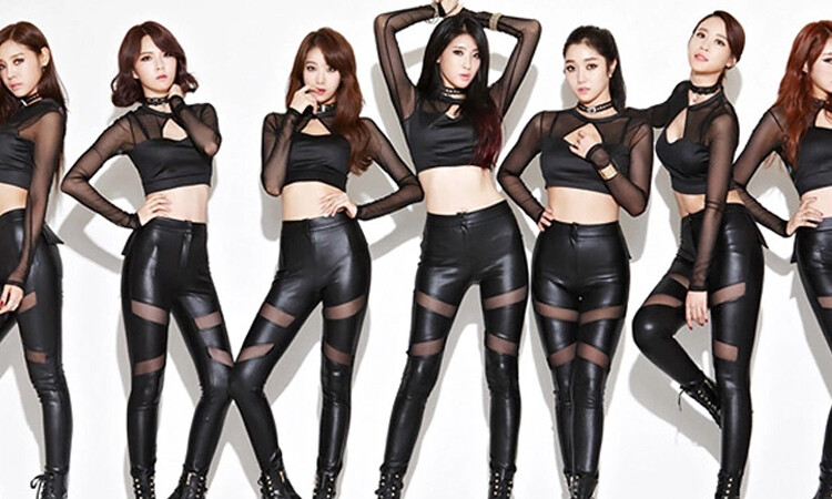 Ex miembro de Nine Muses, revela que lloro al ser obligada a utilizar ligueros