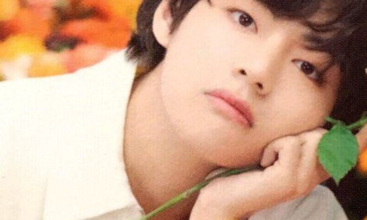 Que tipo de namorada você seria para a BTS V de acordo com seu signo zodíaco?