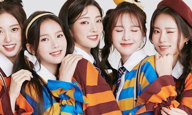 Daileee, es oficial Weeekly abre su cuenta en Weverse