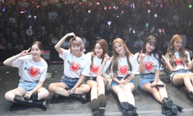 Revelan que sujeto se masturbó durante un concierto de MOMOLAND en México