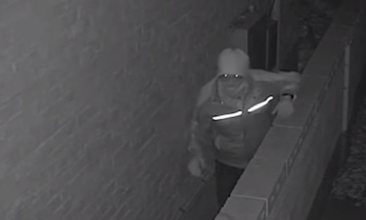 Entran a robar a casa de Goo Hara; Creen que podría ser alguien conocido