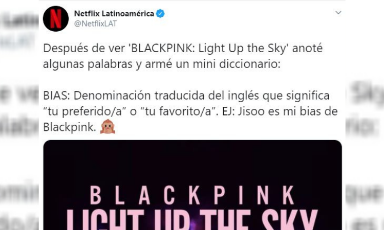 blackpink: light up the sky
