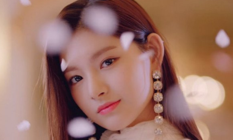 Los ídolos de Kpop más populares en China