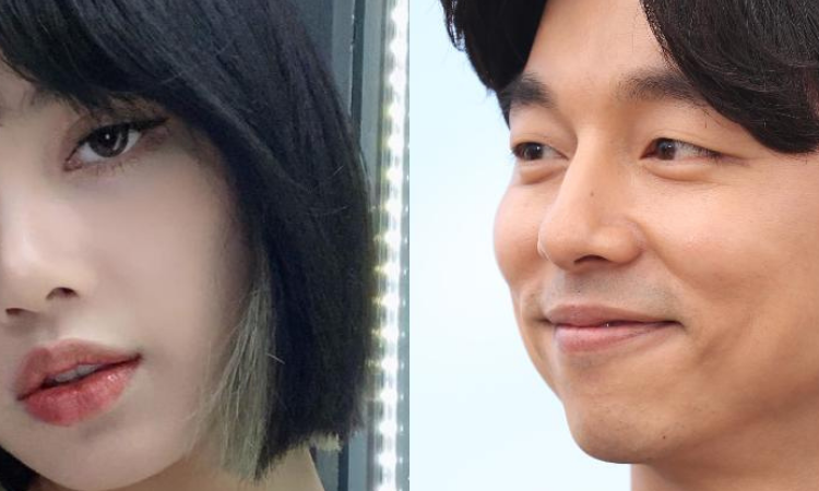 Gong Yoo responde a Lisa blackpink que o escolheu como seu tipo ideal