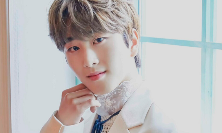 Jin Kwon de NewKidd protagonizará el nuevo drama BL 'To My Star'