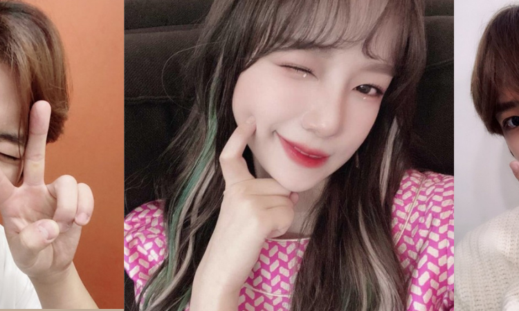 Estos ídolos son algunos de los más Dulces del kpop