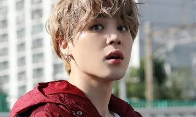 puppy kitty jimin do bts