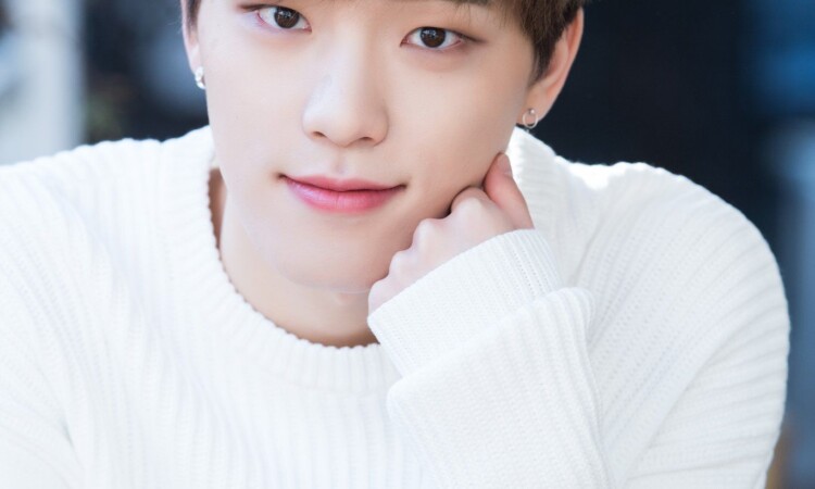 DINO de SEVENTEEN y su inolvidable espectaculo de Danza en 