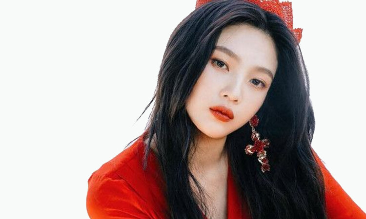 Joy de Red Velvet se disculpa con ReVeluv por lo que esta sucediendo