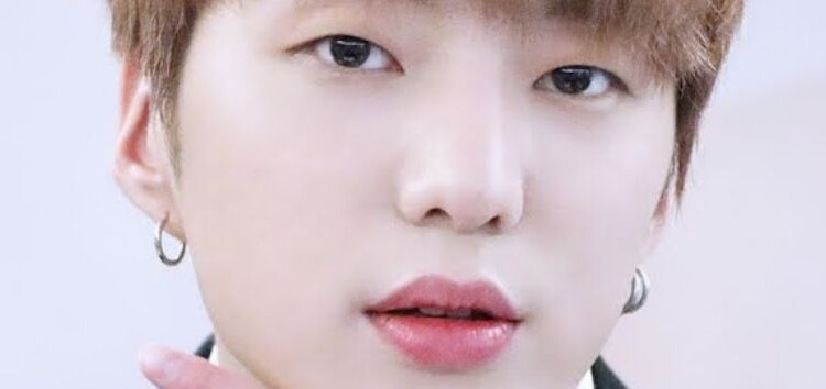 Seungyoon de WINNER: 