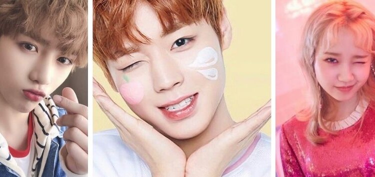 Descubre que ídolos de K-pop son los más adorables