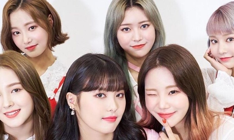 Momoland revela detalles sobre 