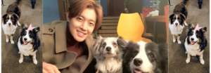 Conoce más sobre Art y Matic, las mascotas de Kim Hyun Joong
