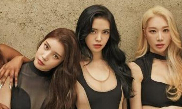 DR Music inicia votación para el nombre del fandom de BLACKSWAN