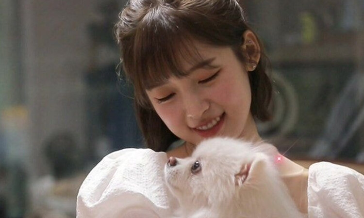 Arin de Oh My Girl participa en una campaña pictórica de donación para animales abandonados