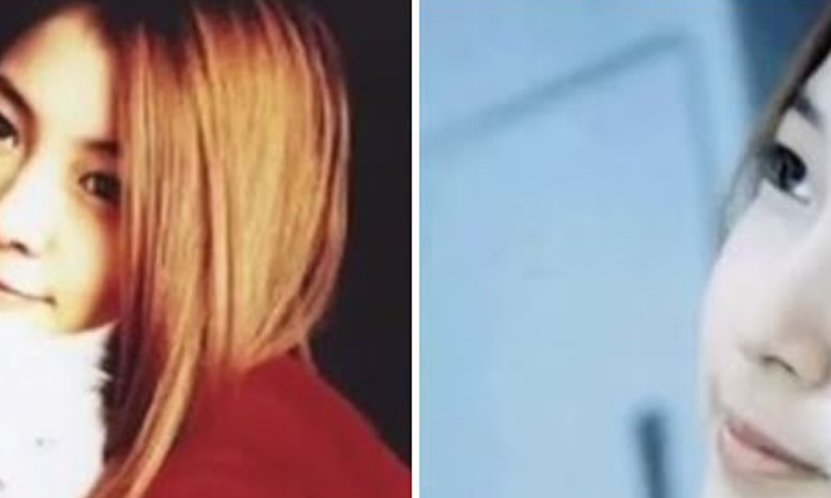 BoA y el misterioso gato persa