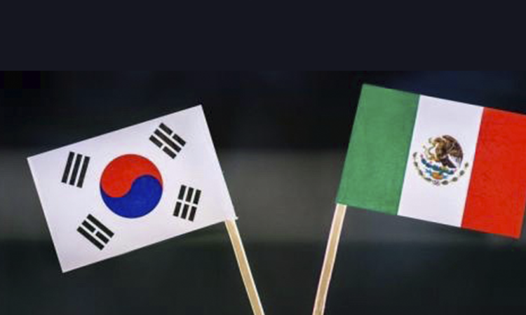 Video: ¿Qué opinan los coreanos sobre los mexicanos?