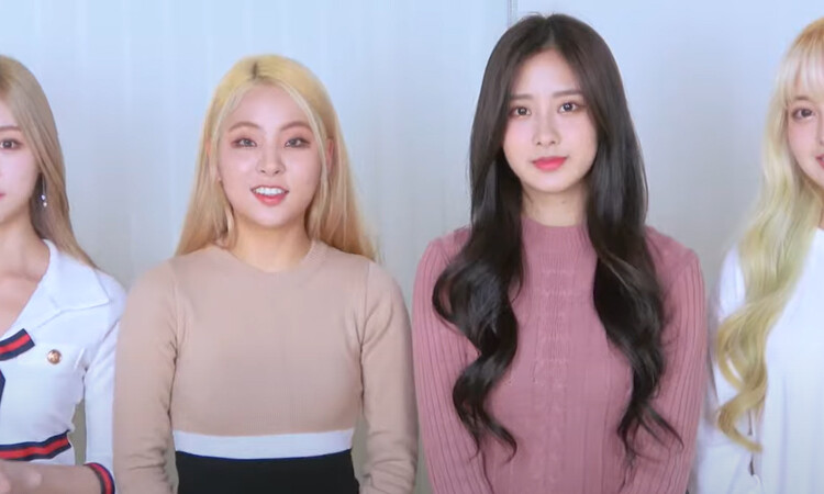 Lunarsolar revela el nombre de su fandom